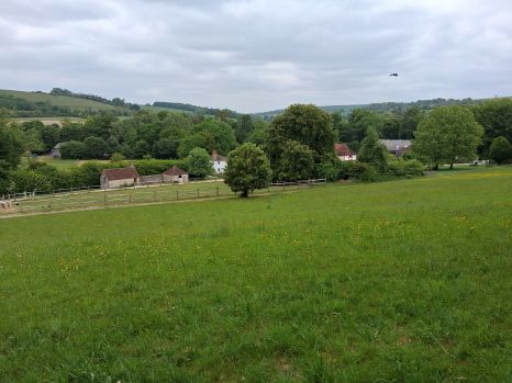 Weald and Downland Museum
