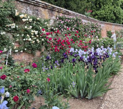 The walled garden