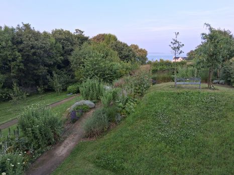 Peace Garden