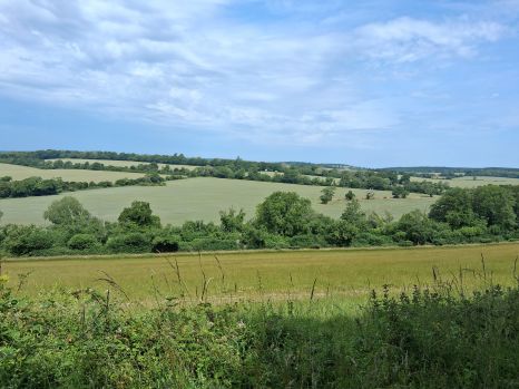 Ramblers' walk from Compton