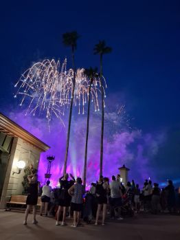 Fireworks at Epcot