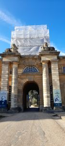 scaffolding and lions