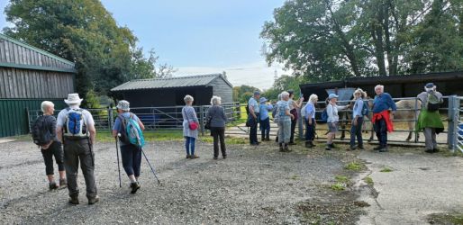 u3a walkers