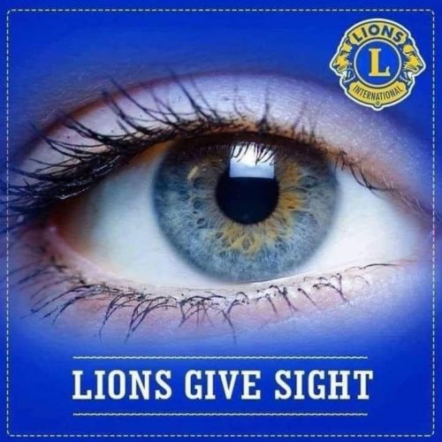 Lions give Sight
