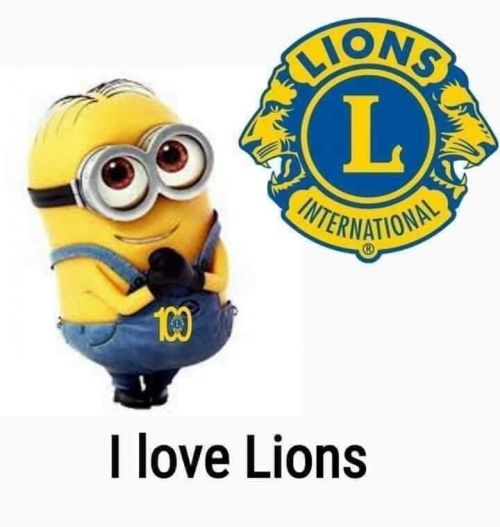 I love Lions