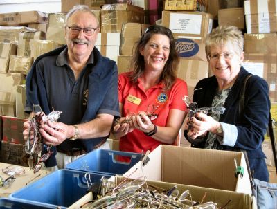 Chichester Lion Richard, Fleet Lion Lisa and Linda Storey