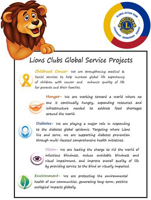 Lions Clubs Global Service Projects