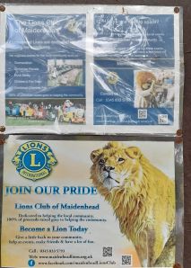 Maidenhead Lions' poster