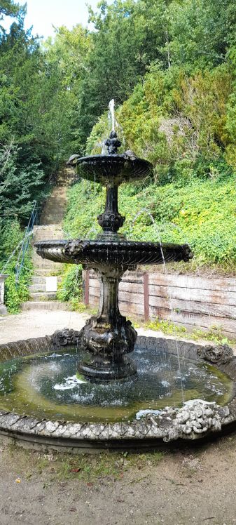 Tortoise fountain and more lions!